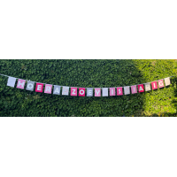 Vlaggenlijn (vanaf € 10,-)